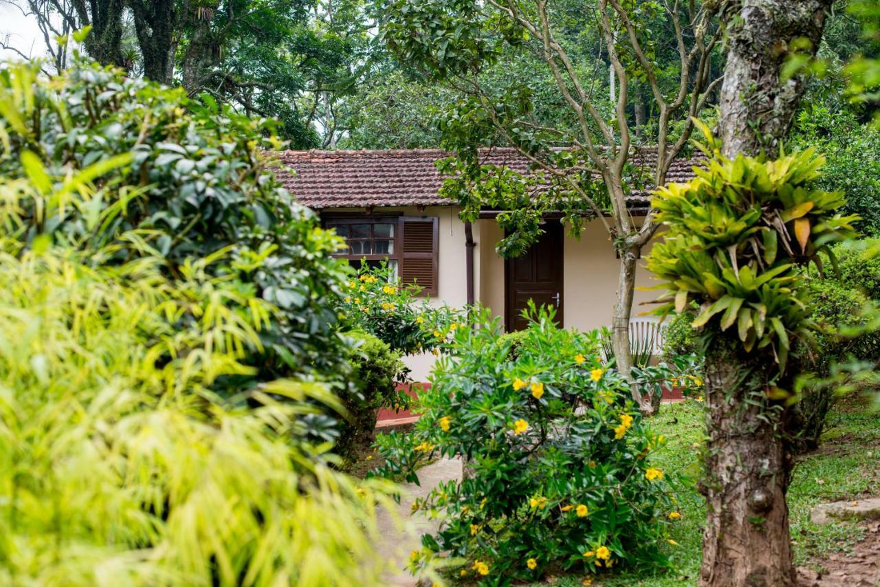Petrópolis Casa Do Lenhadorヴィラ エクステリア 写真